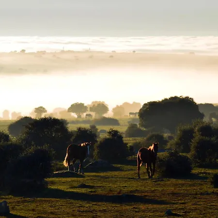 El Rincon Nyaraló La Cuesta